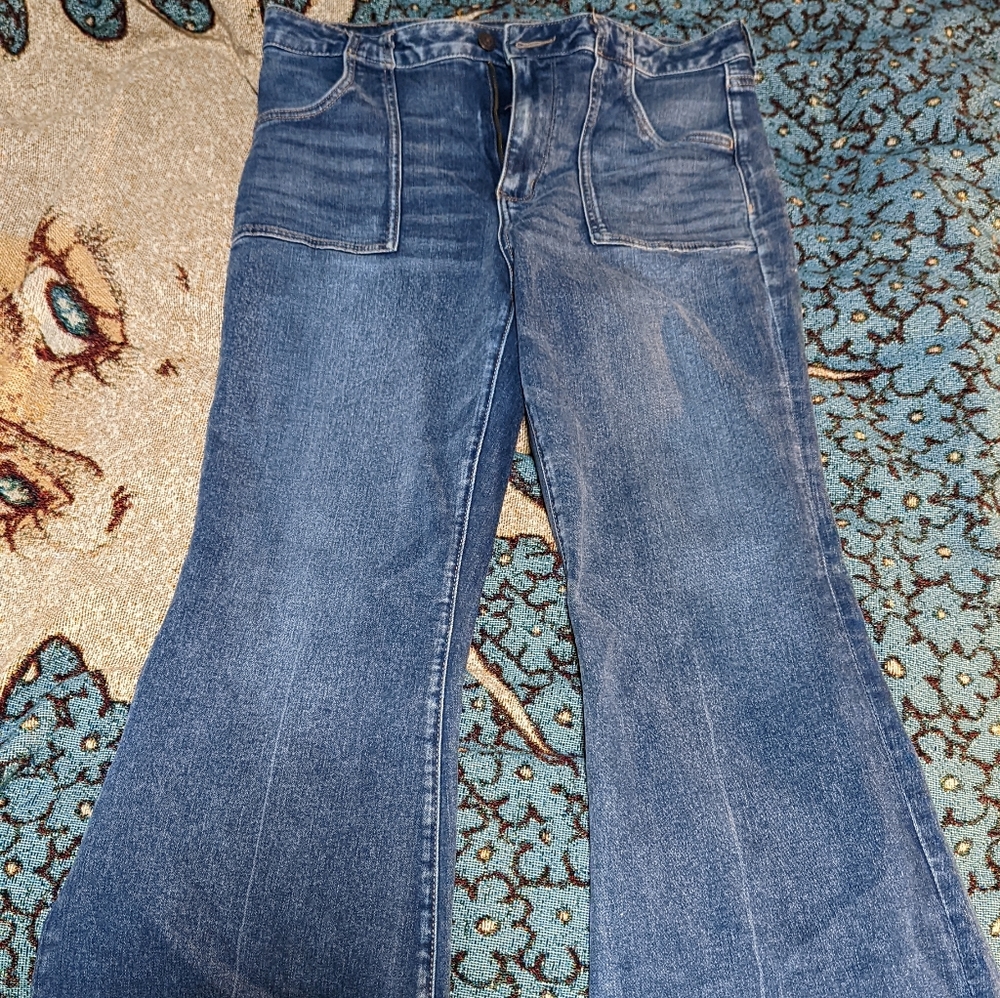 Brand New American Eagle Flare Jean 14 Regular
